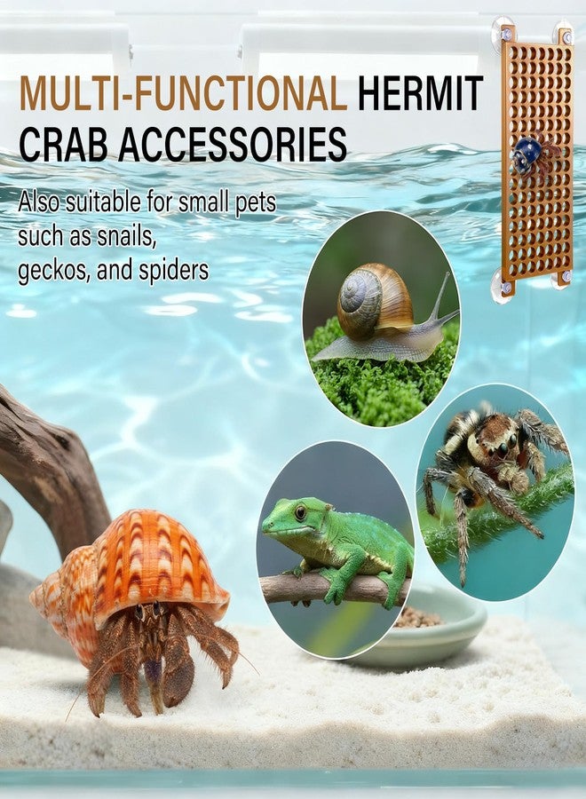 Enhon Hermit Crab Climbing Toys with 4 Suction Cups, Hermit Crab Accessories, Round Hole Decor Ladder Tank Decoration, Climbing Nets and Accessories for Tank and Aquarium Exploration Habitat - Image 5